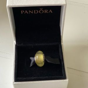 Pandora charm